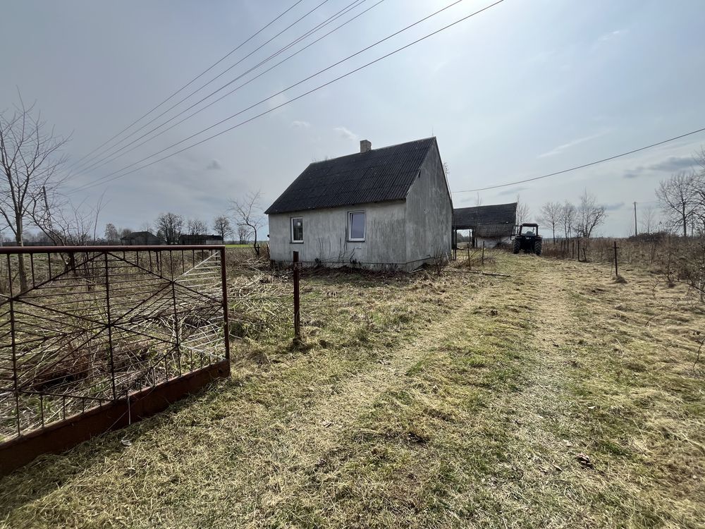 gospodarstwo Trzepnica. Zdjęcie 4