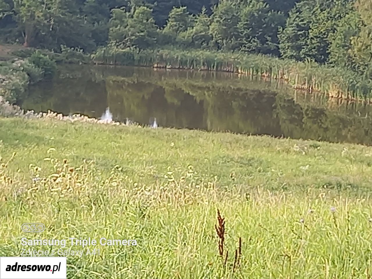 Działka rekreacyjna Wildno. Zdjęcie 6