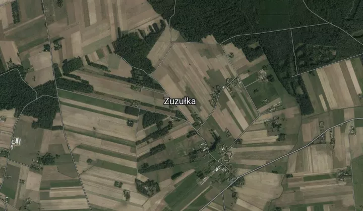 Działka leśna Zuzułka