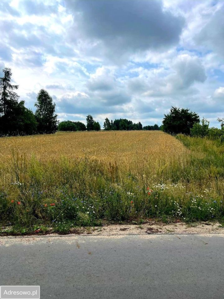 Działka rolno-budowlana Olempin. Zdjęcie 1