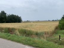 Działka rolno-budowlana Stężyca-Kolonia. Zdjęcie 4