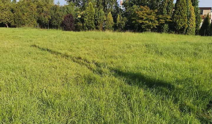 Działka budowlana Ornontowice