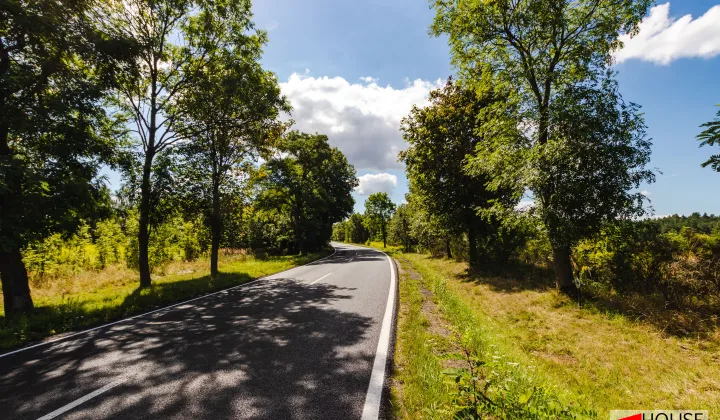 Działka inwestycyjna Wykroty