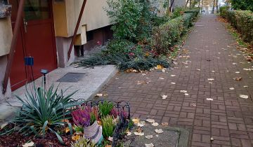 Mieszkanie 2-pokojowe Chorzów Stary Chorzów, ul. Rycerska