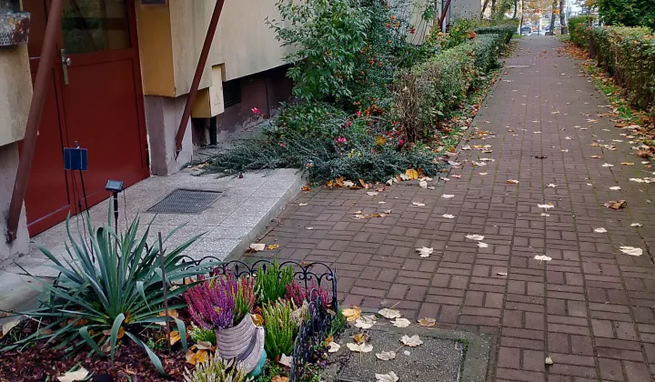 Mieszkanie 2-pokojowe Chorzów Stary Chorzów, ul. Rycerska