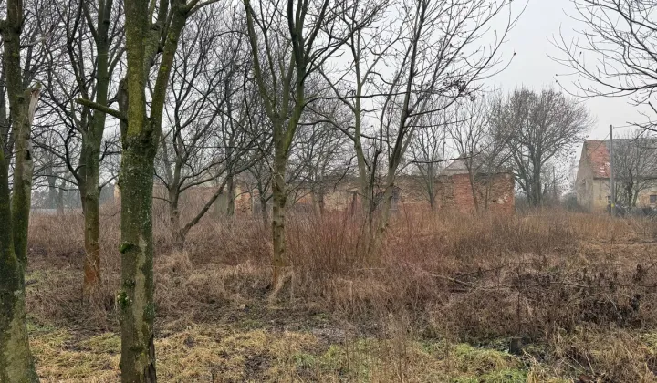 Działka budowlana Jaszowice, ul. Sportowa