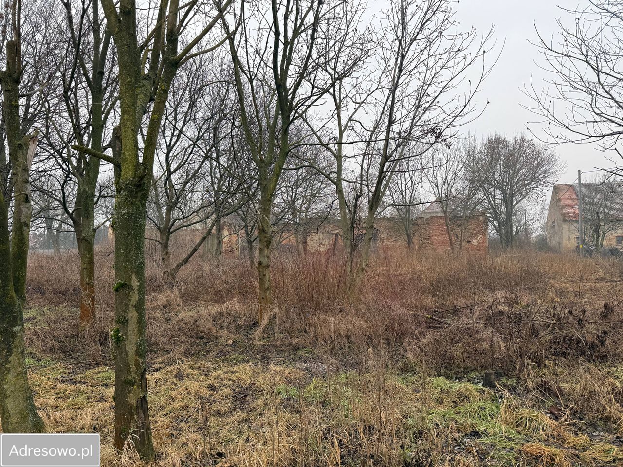 Działka budowlana Jaszowice, ul. Sportowa. Zdjęcie 1