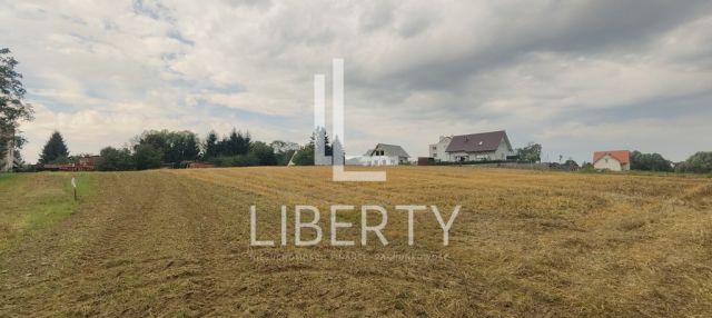 Działka rolna Barnisław. Zdjęcie 4