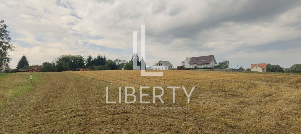 Działka rolna Barnisław. Zdjęcie 4