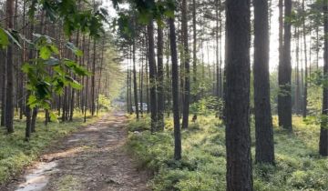 Działka leśna Karsy
