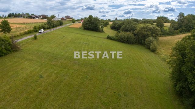 Działka rolna Rzepiennik Strzyżewski. Zdjęcie 7