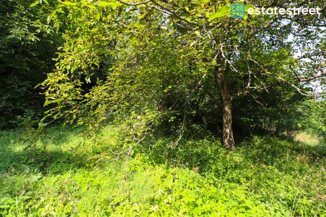 Działka budowlana Nielepice. Zdjęcie 13