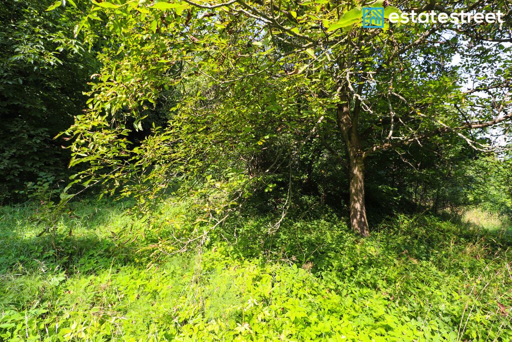 Działka budowlana Nielepice. Zdjęcie 13