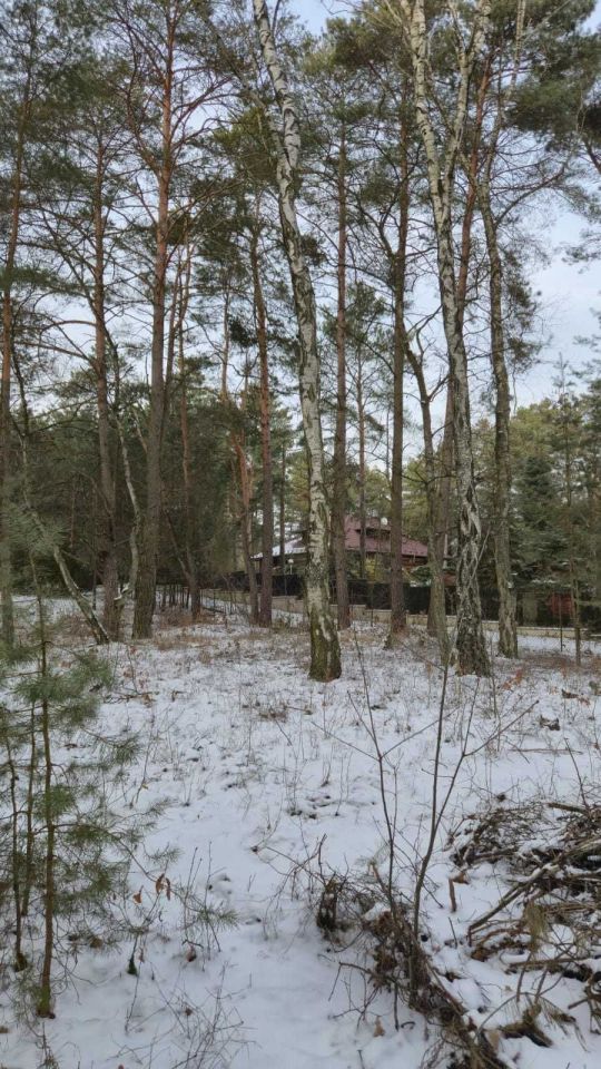 Działka budowlana Jedlicze B. Zdjęcie 7