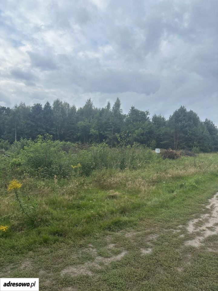 Działka budowlana Zielona Góra Ochla, ul. Ochla-Pustynna. Zdjęcie 3