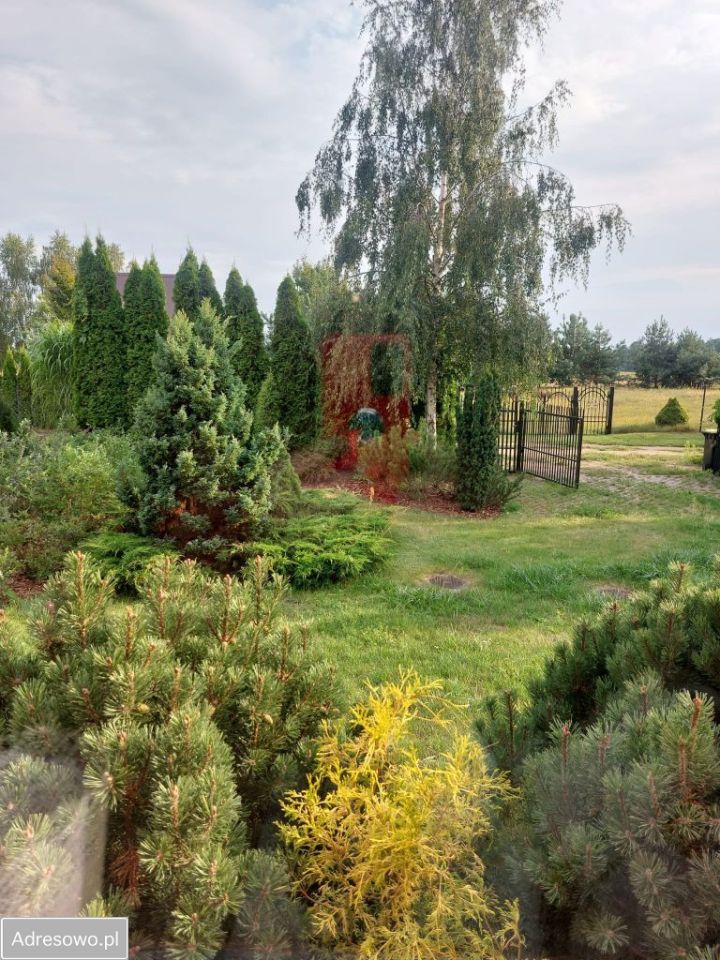 dom wolnostojący, 3 pokoje Chełsty. Zdjęcie 11