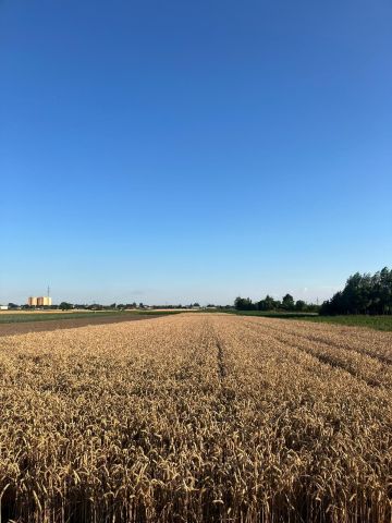 Działka rolna Piotrkówek Mały. Zdjęcie 1