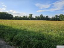 Działka rolno-budowlana Terespol. Zdjęcie 2