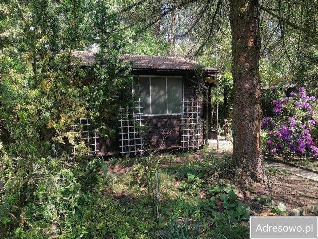 Działka rekreacyjna Szczaki. Zdjęcie 1