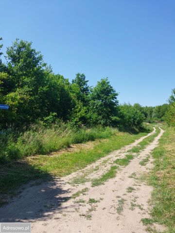 Działka budowlana Santok, ul. Wiśniowa. Zdjęcie 1