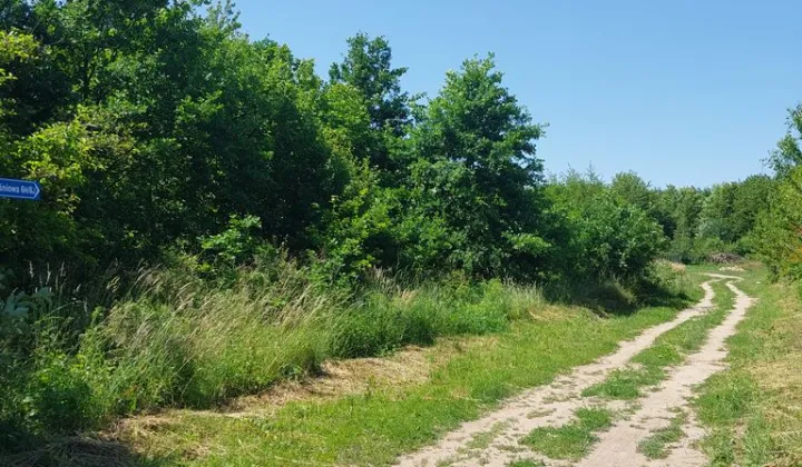 Działka budowlana Santok, ul. Wiśniowa