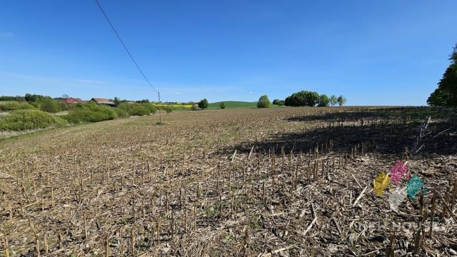 Działka siedliskowa Wilczkowo. Zdjęcie 7