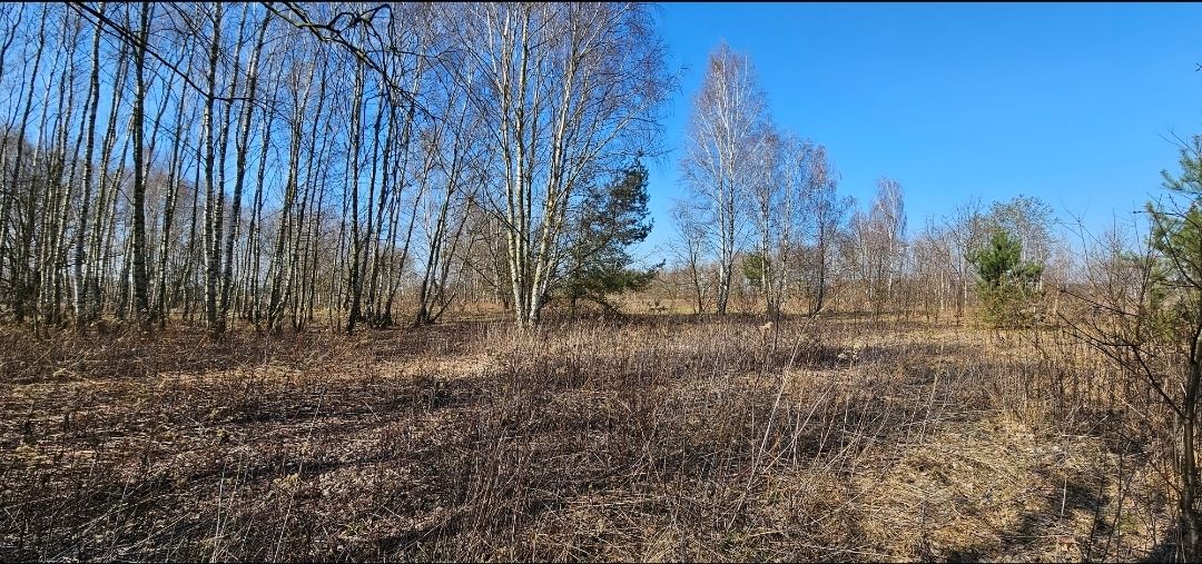 Działka budowlana Zagościniec, ul. Tramwajowa. Zdjęcie 4