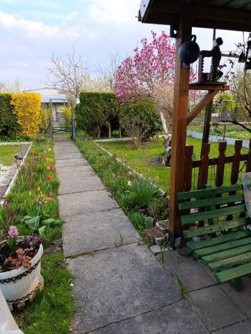 Działka rod Żory. Zdjęcie 1