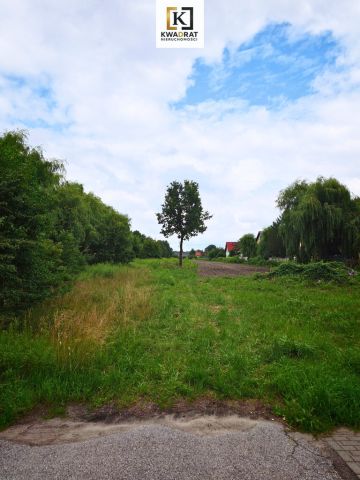 Działka Wielgolas Brzeziński. Zdjęcie 3