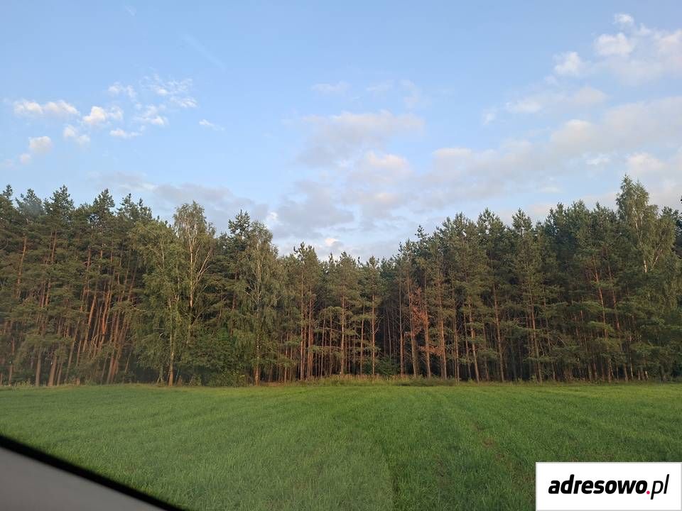 Działka Radziki Duże. Zdjęcie 7