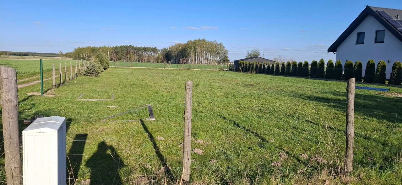 Zdjęcie 6