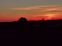 Działka leśna Garbas Drugi. Zdjęcie 2