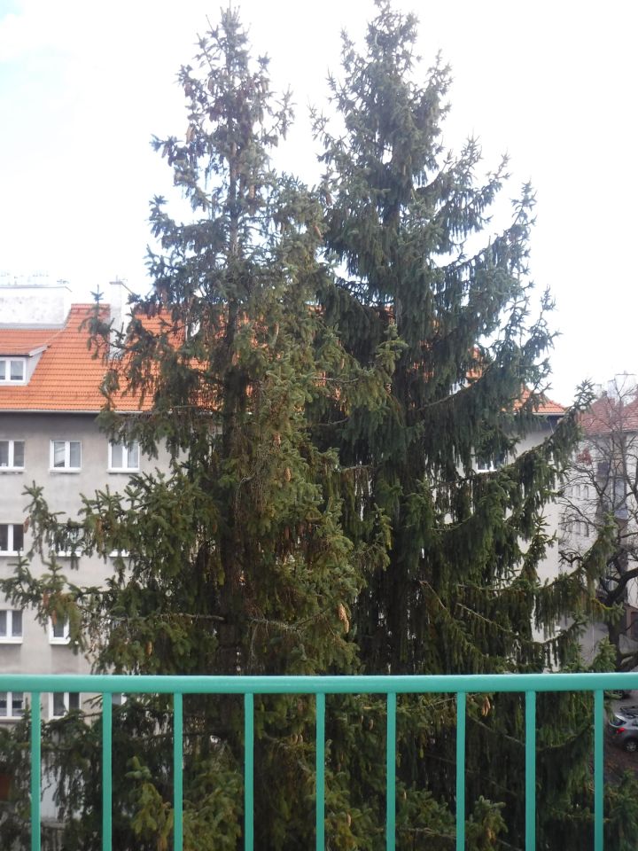 Mieszkanie 3-pokojowe Kraków Krowodrza, ul. Urzędnicza. Zdjęcie 4