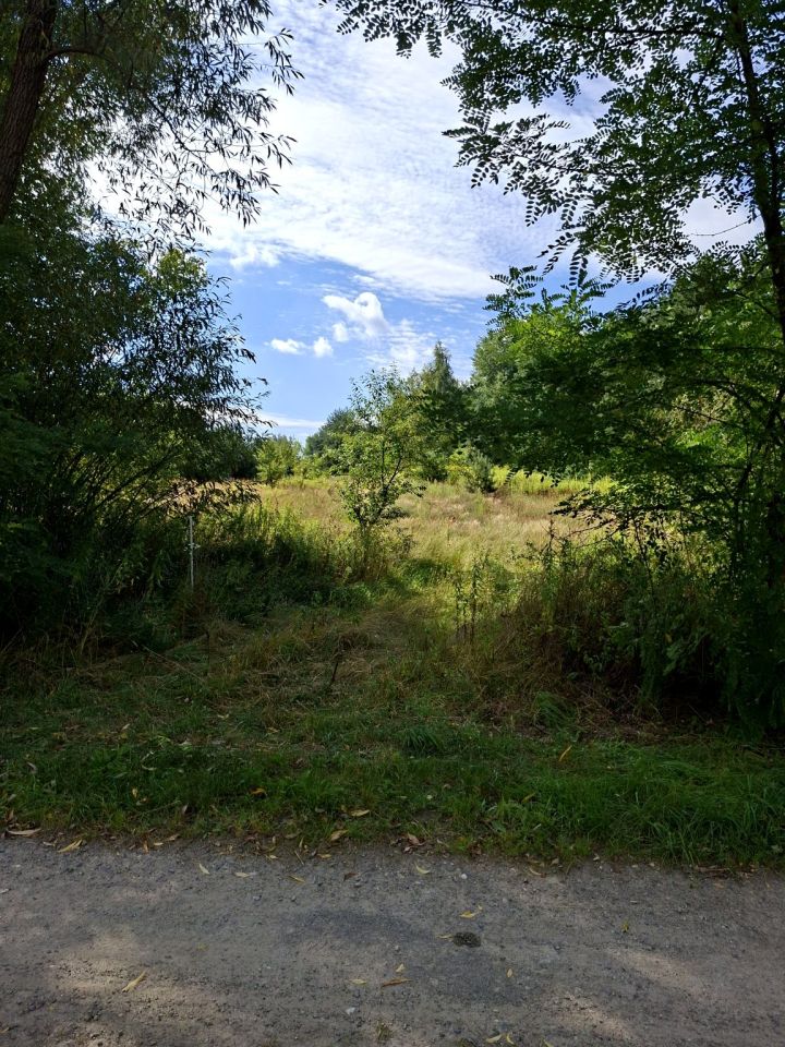 Działka budowlana Regut, ul. Wiatraczna. Zdjęcie 9