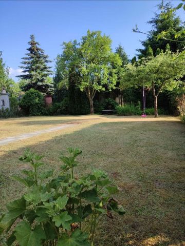 Działka rod Poznań Chartowo. Zdjęcie 1