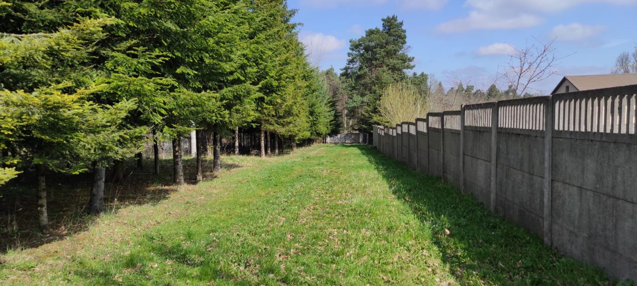 Działka inwestycyjna Suków Borki. Zdjęcie 3