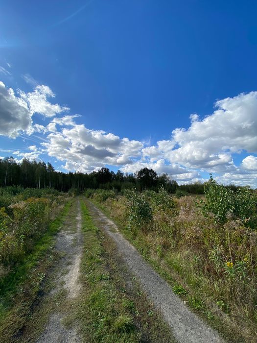 Działka budowlana Adolfin. Zdjęcie 8