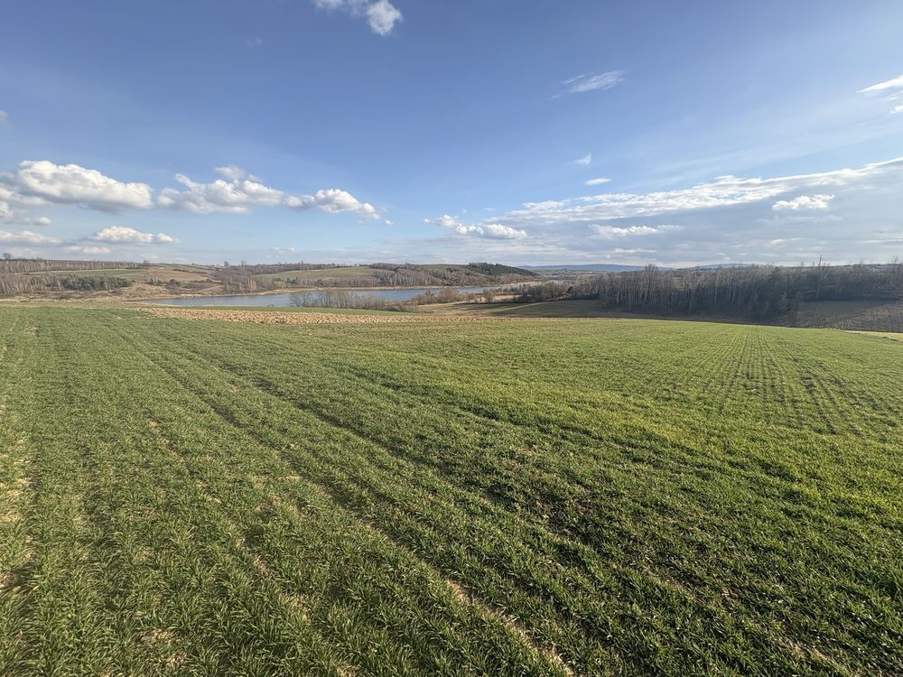 Działka rolno-budowlana Zbrza. Zdjęcie 5