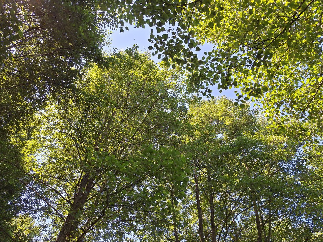 Działka rolno-budowlana Potoczek. Zdjęcie 16