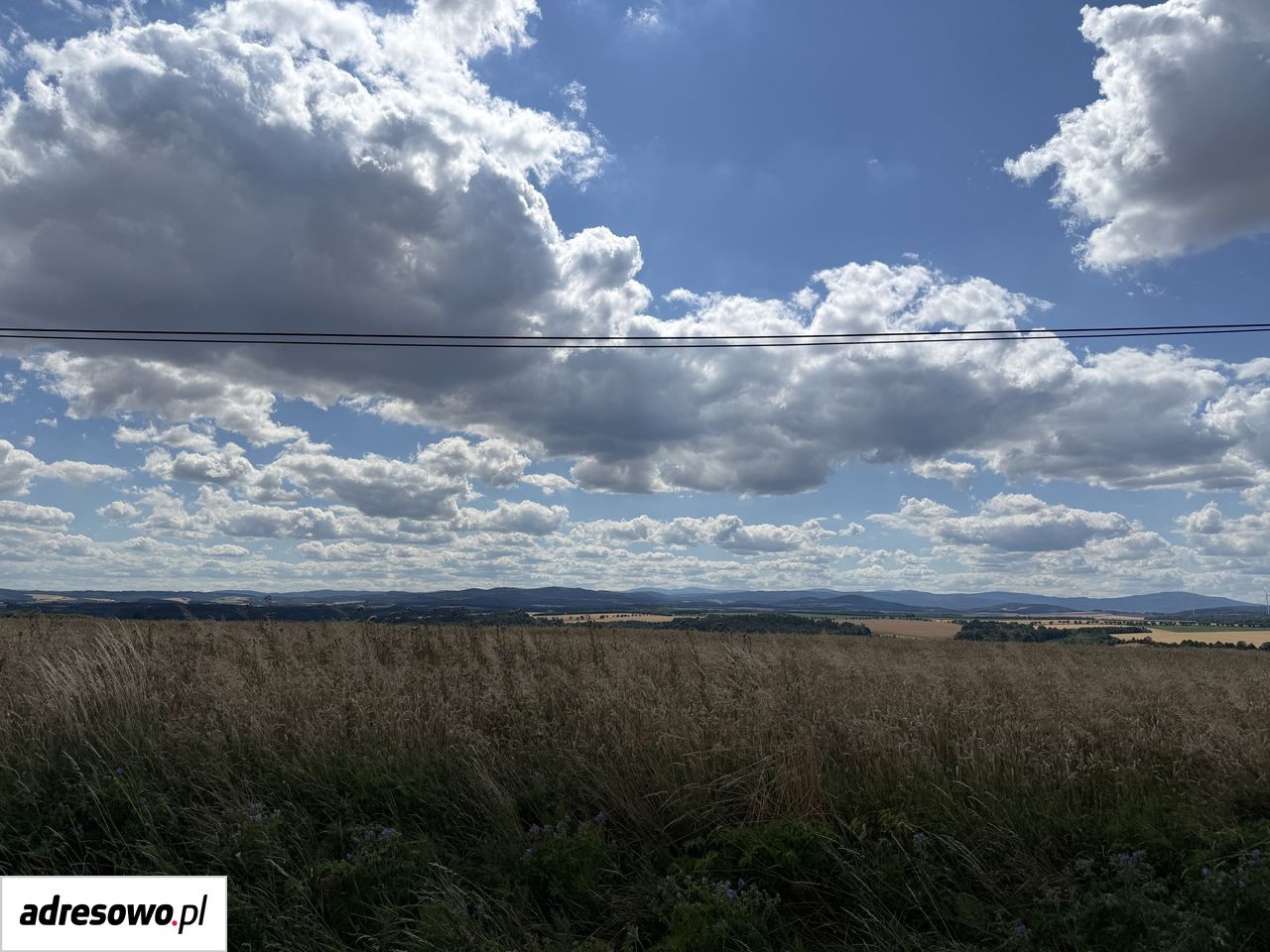 siedlisko, 4 pokoje Sławoszów. Zdjęcie 14