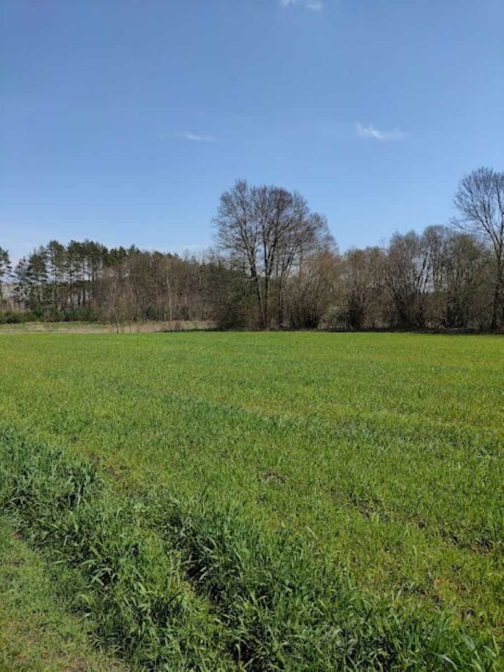 Działka rolna Siercz. Zdjęcie 5