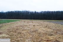 Działka rolna Przybyłów. Zdjęcie 4