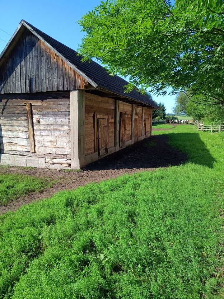 Działka siedliskowa Załuskie Kościelne. Zdjęcie 4