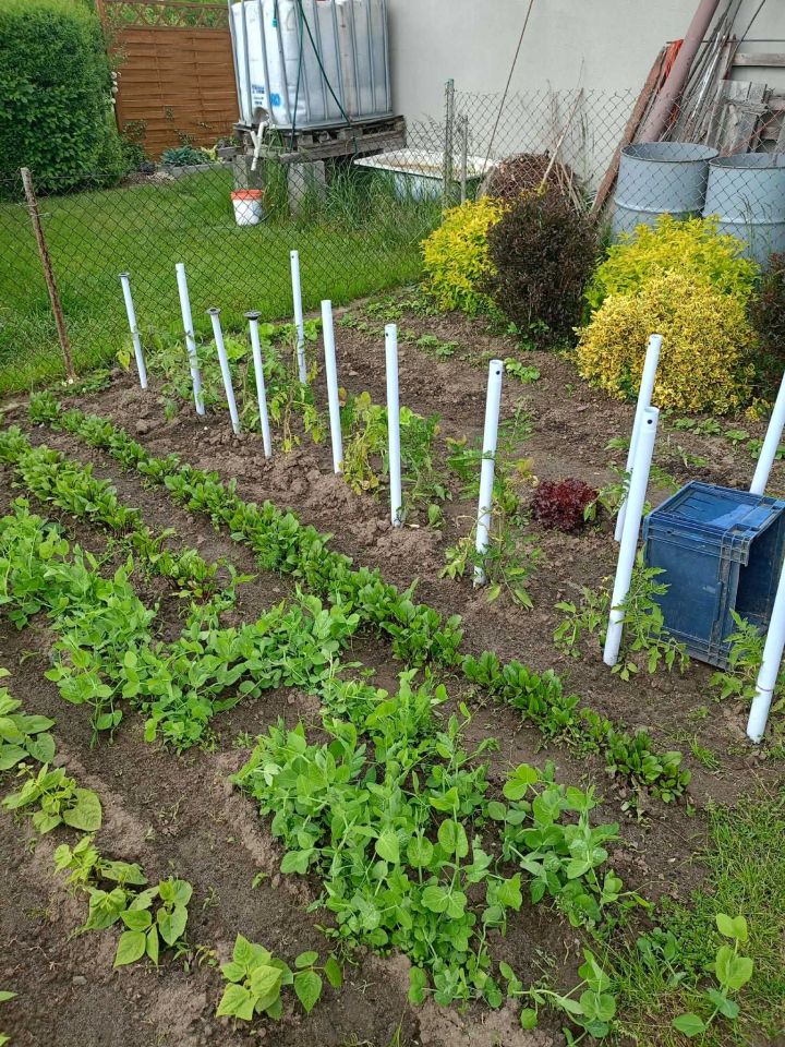 Działka rod Mielec Poręby. Zdjęcie 5