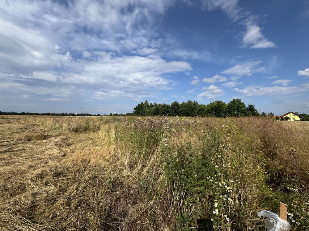 Działka budowlana Świdnica Polska. Zdjęcie 7