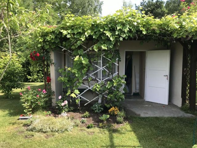 Działka rod Gorzów Wielkopolski, ul. Szarych Szeregów. Zdjęcie 1