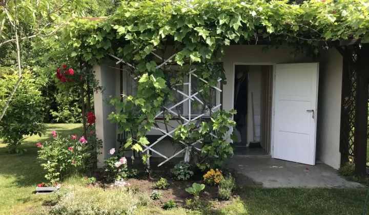 Działka rod Gorzów Wielkopolski, ul. Szarych Szeregów