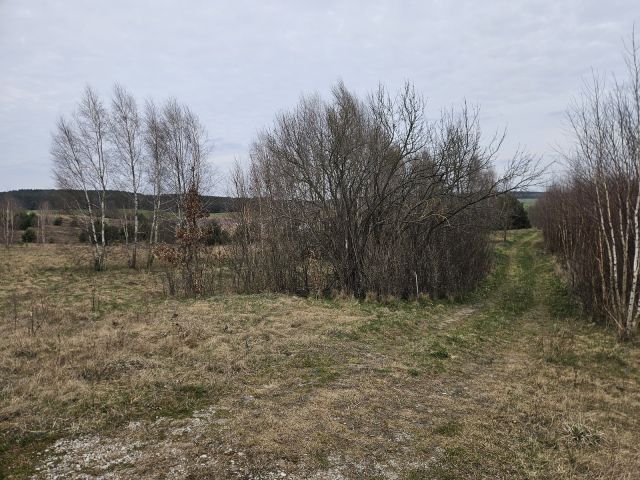 Działka rolna Nowy Dwór. Zdjęcie 10