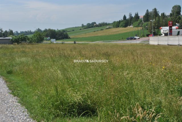 Działka inwestycyjna Brzezie. Zdjęcie 2