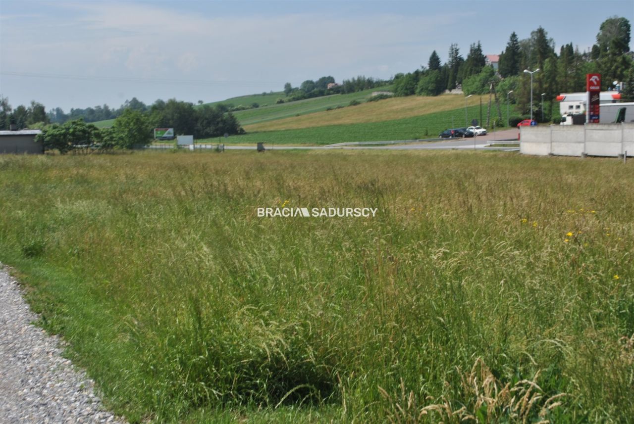Działka inwestycyjna Brzezie. Zdjęcie 2